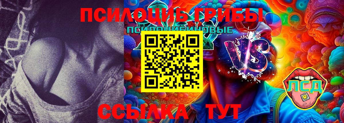 Галлюциногенные грибы MAGIC MUSHROOMS  Псилоцибиновые грибы Magic Shrooms  Елабуга  Вход с VPN 