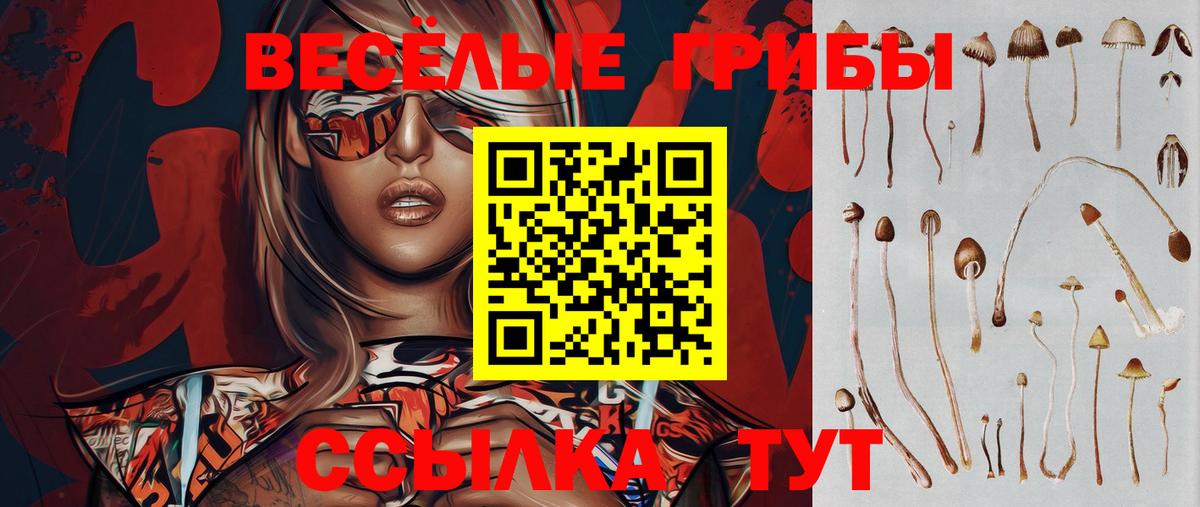 Псилоцибиновые грибы ЛСД Елабуга